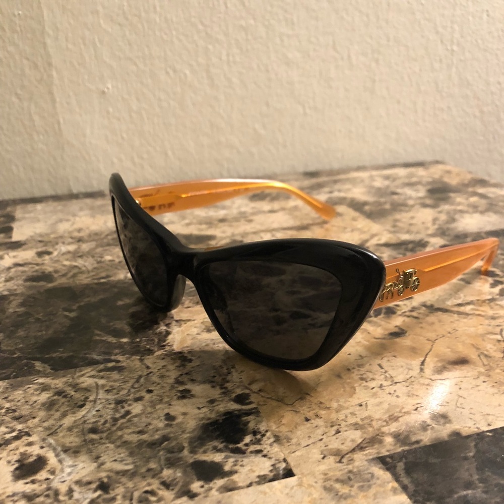 Coach Black Amber 8205 Sunglasses